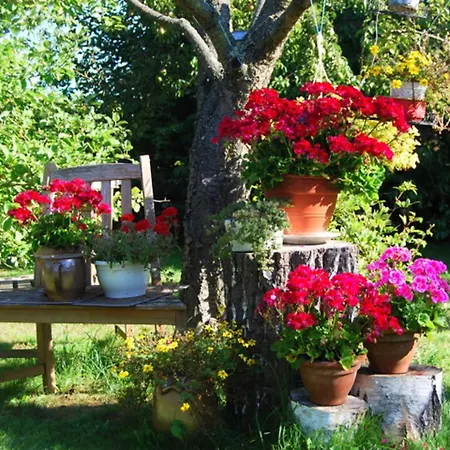 Mit Garten Am Bodstedter Bodden